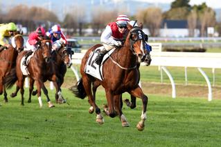 Listed Win for $8000 Weanling Ladies First (NZ). Photo: Race Images, Palmerston North.